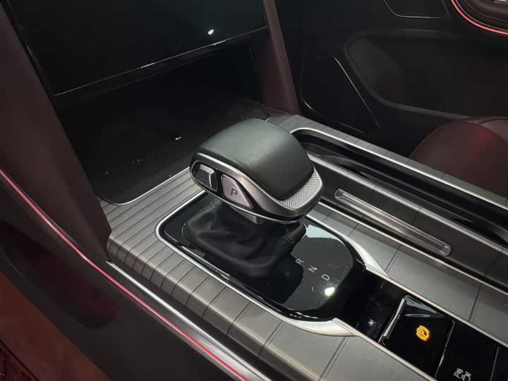 Фото 8 - Hongqi HS7 Hybrid