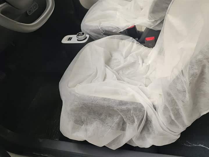 Фото 9 - Geely Galaxy Panda Mini