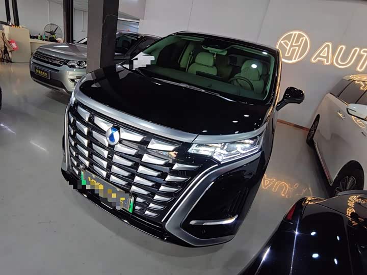 Фото 1 - Denza D9