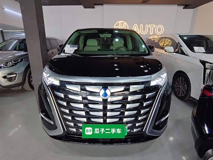 Фото 3 - Denza D9