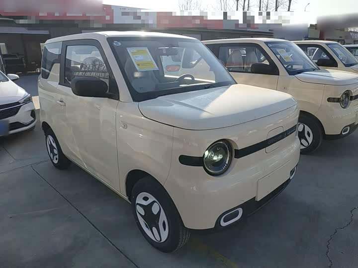 Фото 4 - Geely Galaxy Panda Mini