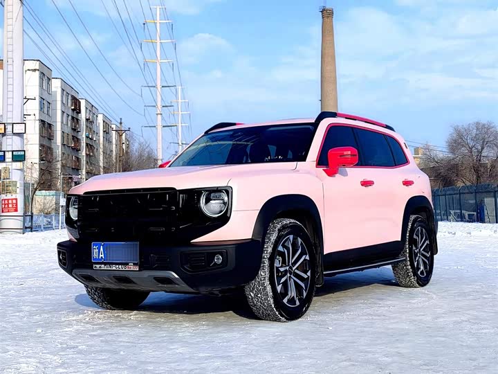 Фото 1 - Haval Dargo