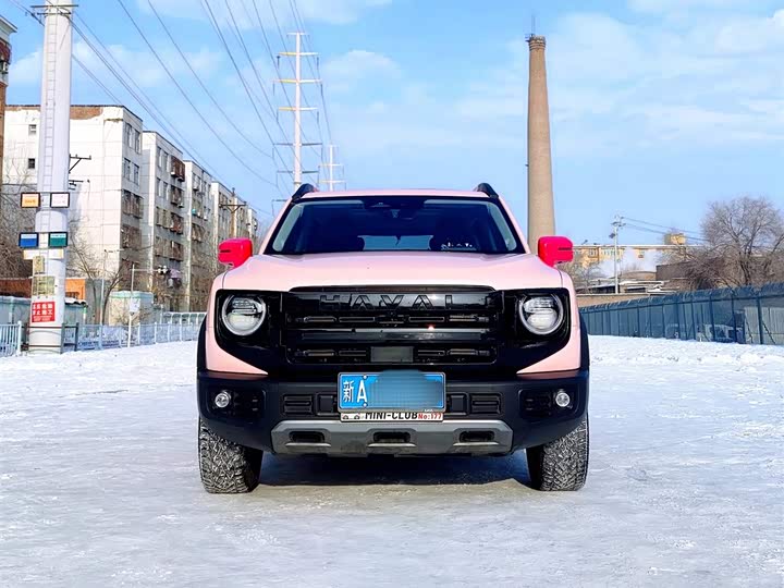 Фото 2 - Haval Dargo