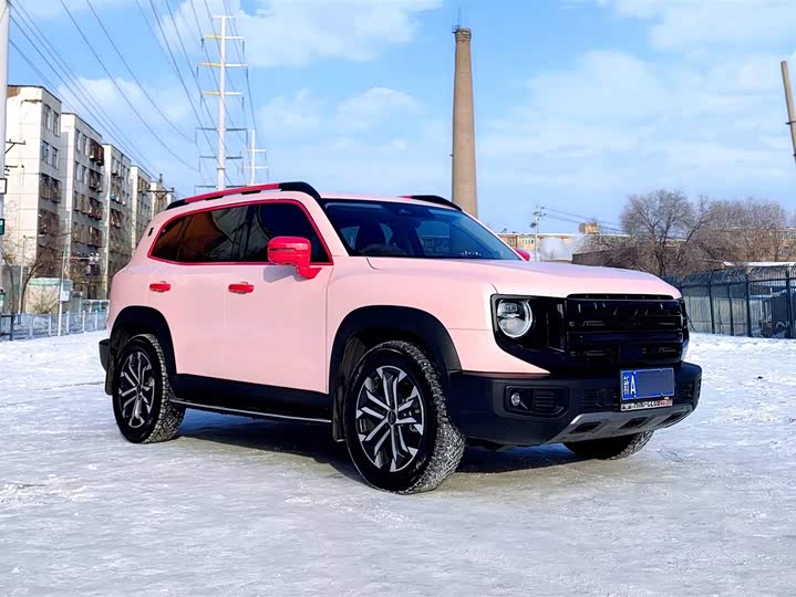 Фото 3 - Haval Dargo