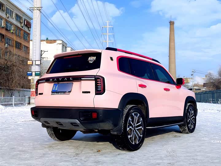 Фото 4 - Haval Dargo