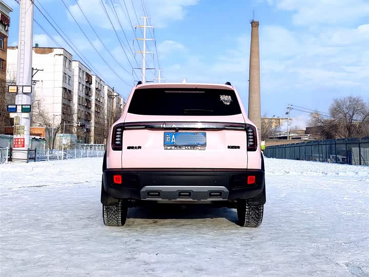 Фото 5 - Haval Dargo