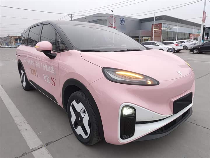 Фото 4 - BAIC Arcfox Kaola