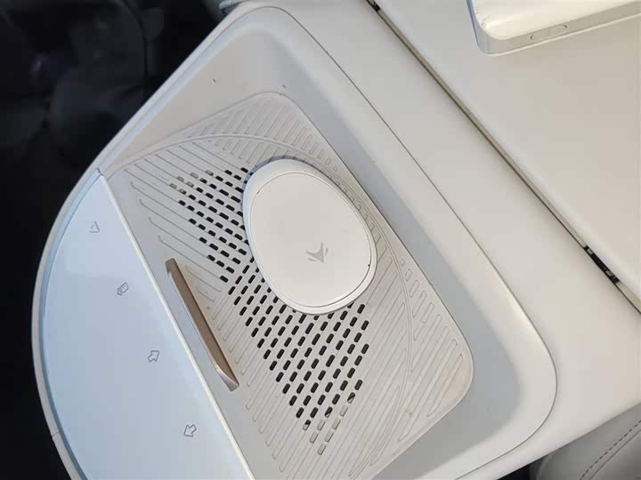 Фото 9 - BAIC Arcfox Kaola