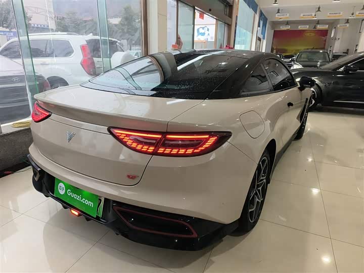 Фото 7 - Hozon GT