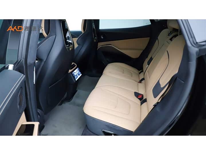 Фото 7 - Lotus Eletre