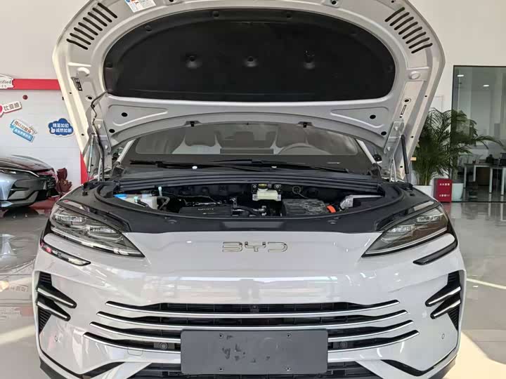 Фото 2 - BYD Song Plus Hybrid/EV