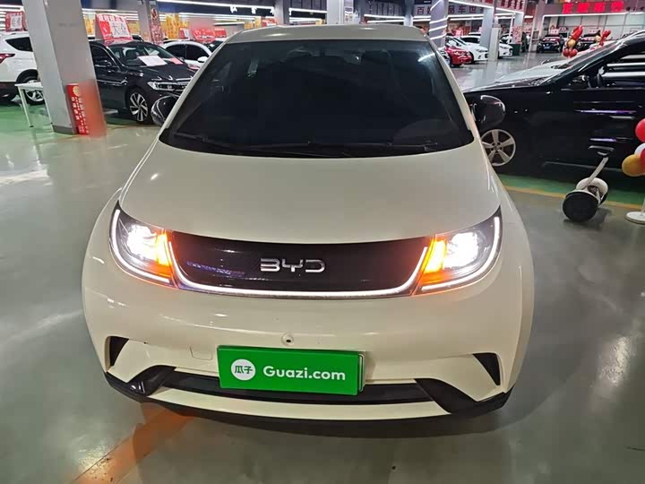 Фото 3 - BYD Dolphin