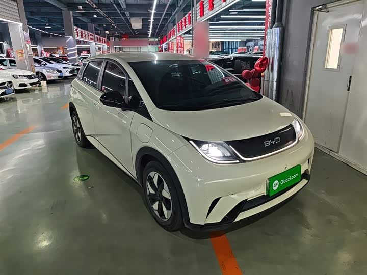 Фото 4 - BYD Dolphin