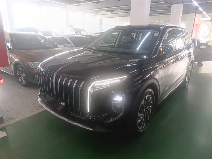 Фото 2 - Hongqi HS7 Hybrid