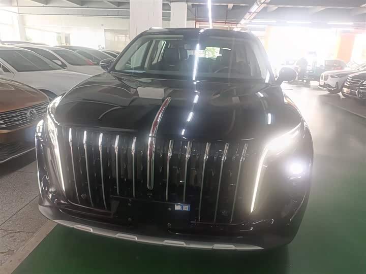 Фото 3 - Hongqi HS7 Hybrid
