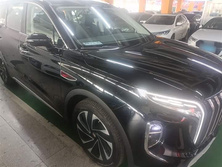 Фото 4 - Hongqi HS7 Hybrid