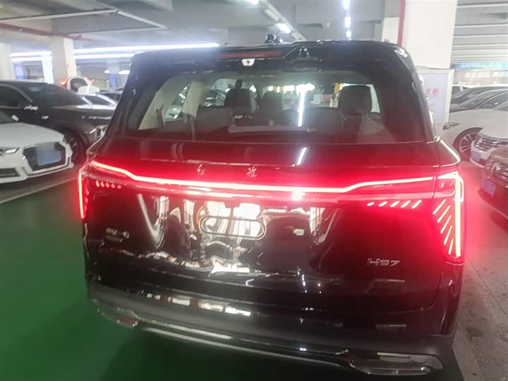 Фото 6 - Hongqi HS7 Hybrid