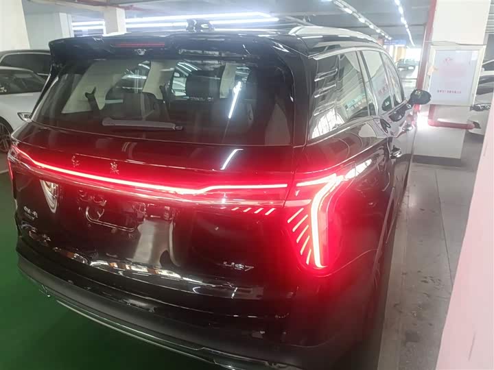 Фото 7 - Hongqi HS7 Hybrid