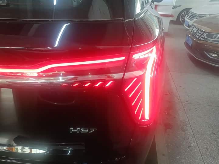 Фото 8 - Hongqi HS7 Hybrid