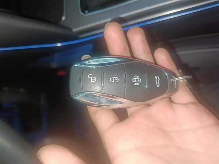 Фото 9 - Hongqi HS7 Hybrid