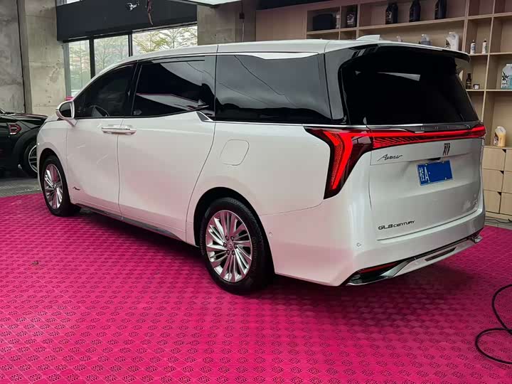 Фото 3 - Buick GL8 Century