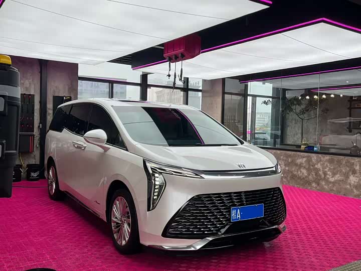 Фото 5 - Buick GL8 Century