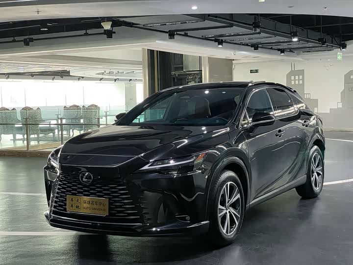 Фото 1 - Lexus RX