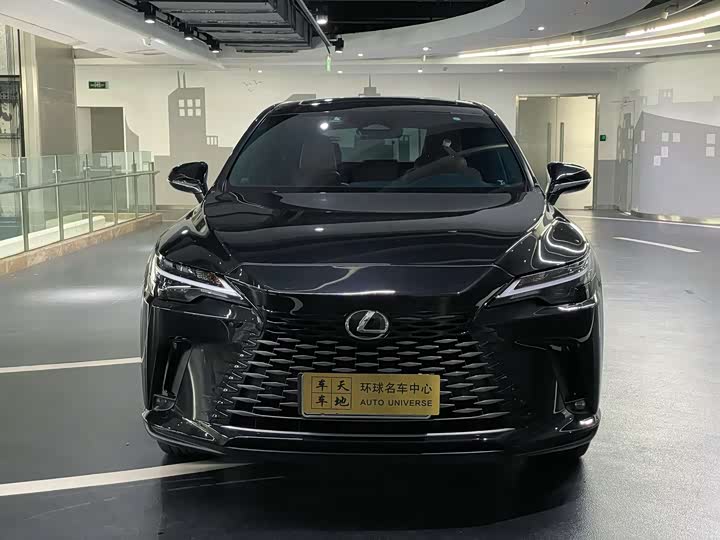 Фото 2 - Lexus RX