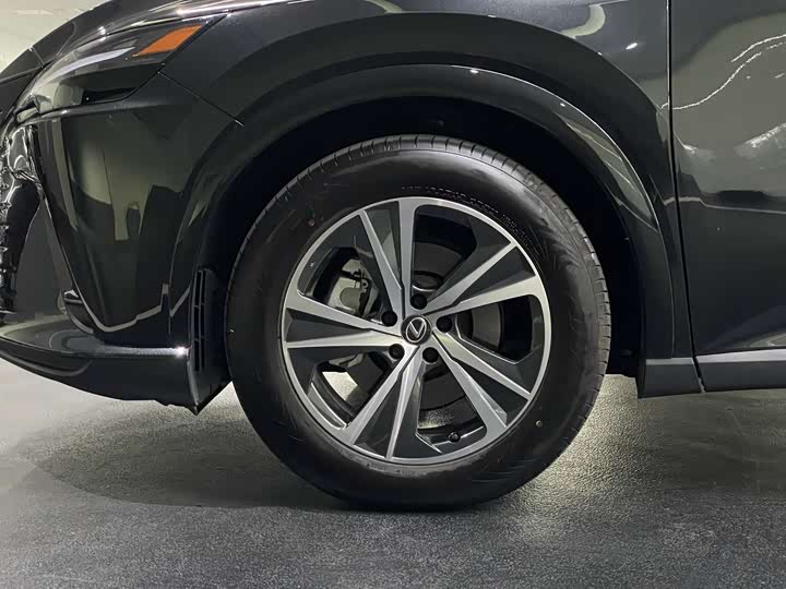 Фото 5 - Lexus RX