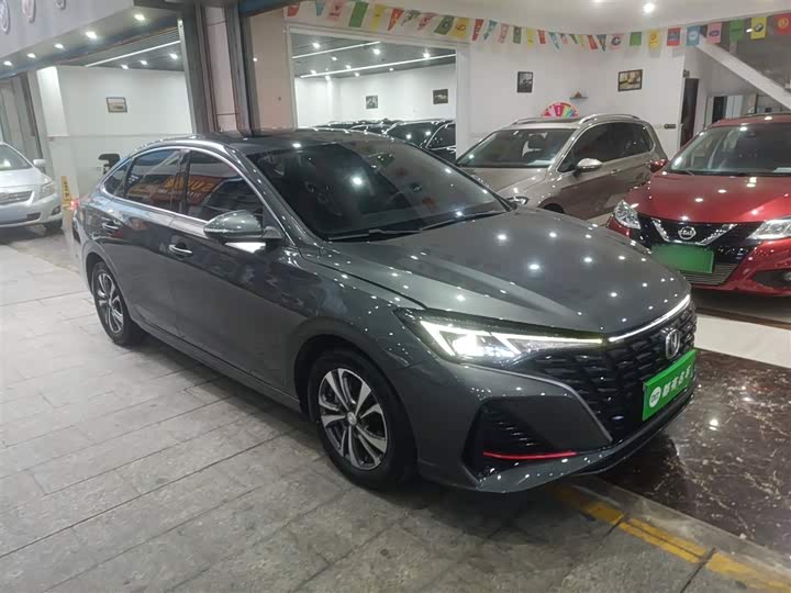 Фото 4 - Changan Eado Plus