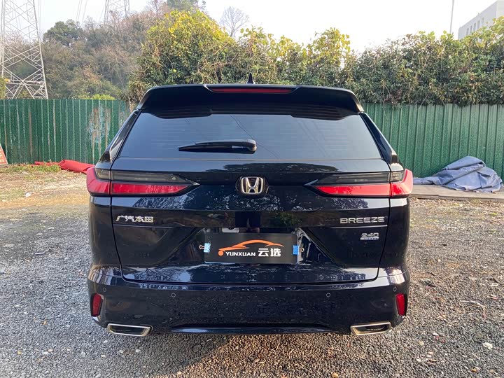 Фото 5 - Honda Breeze