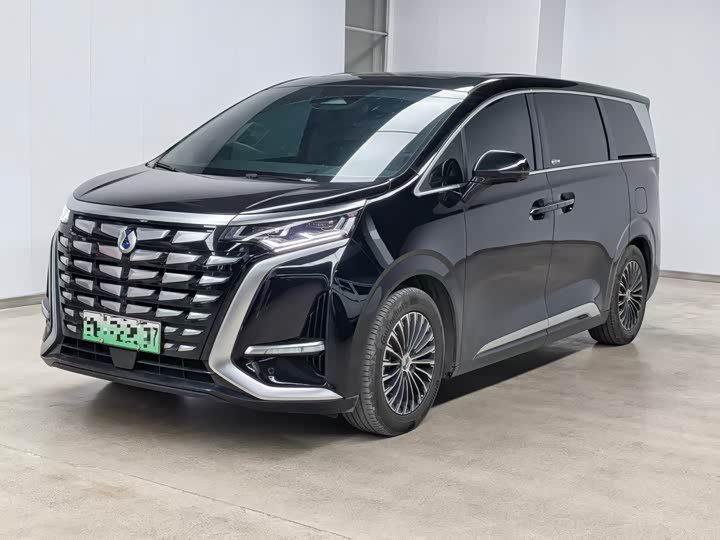 Фото 1 - Denza D9