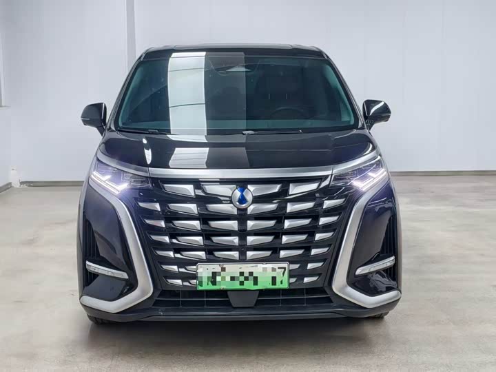 Фото 2 - Denza D9