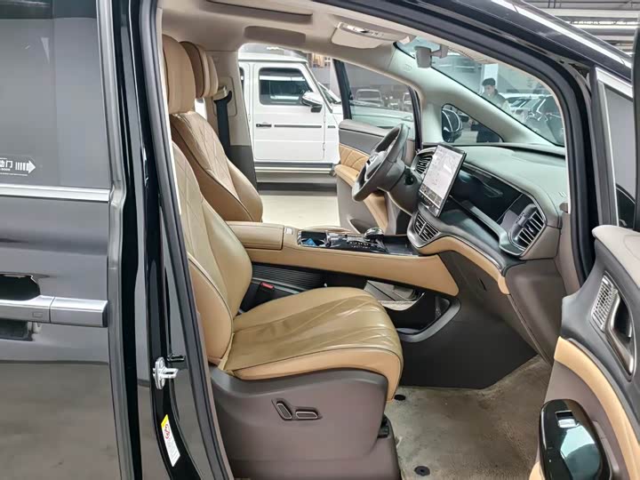 Фото 8 - Denza D9