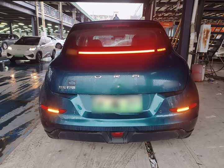 Фото 6 - Ora Good Cat (03)