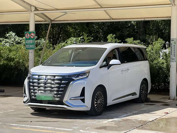 Фото 1 - Denza D9