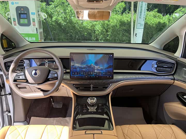 Фото 7 - Denza D9