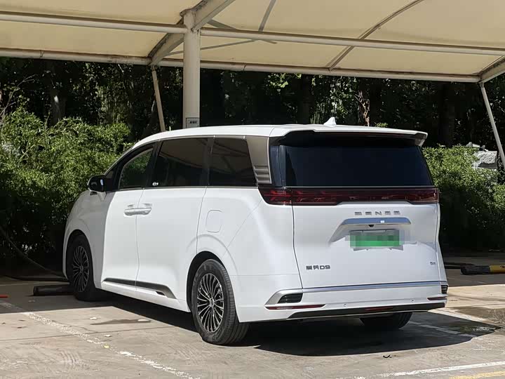 Фото 9 - Denza D9