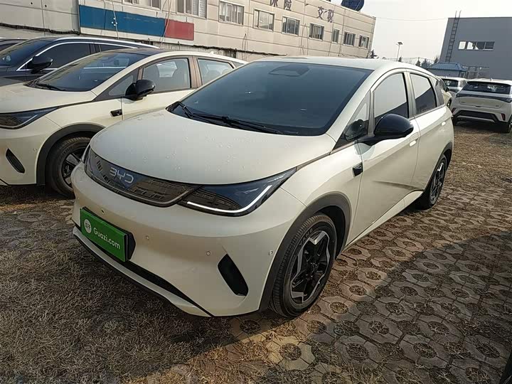 Фото 2 - BYD Dolphin