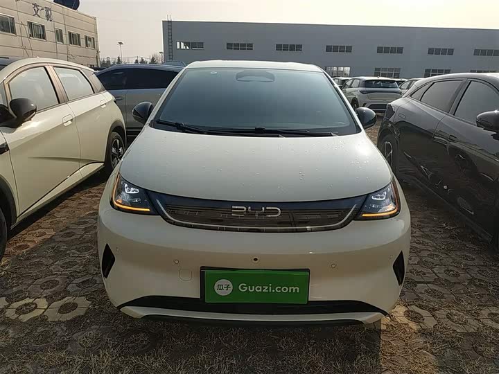 Фото 3 - BYD Dolphin