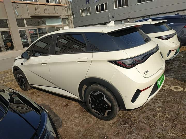 Фото 5 - BYD Dolphin