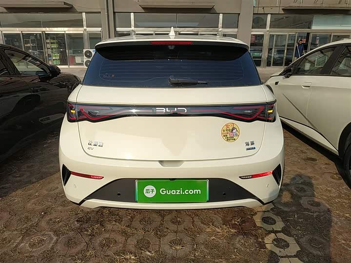 Фото 6 - BYD Dolphin