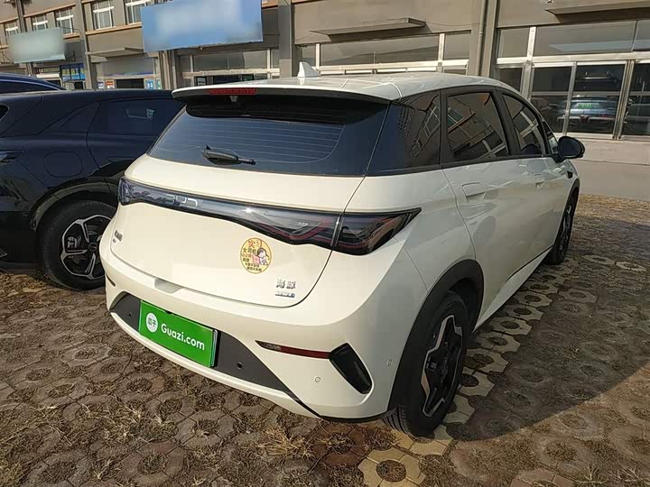 Фото 7 - BYD Dolphin