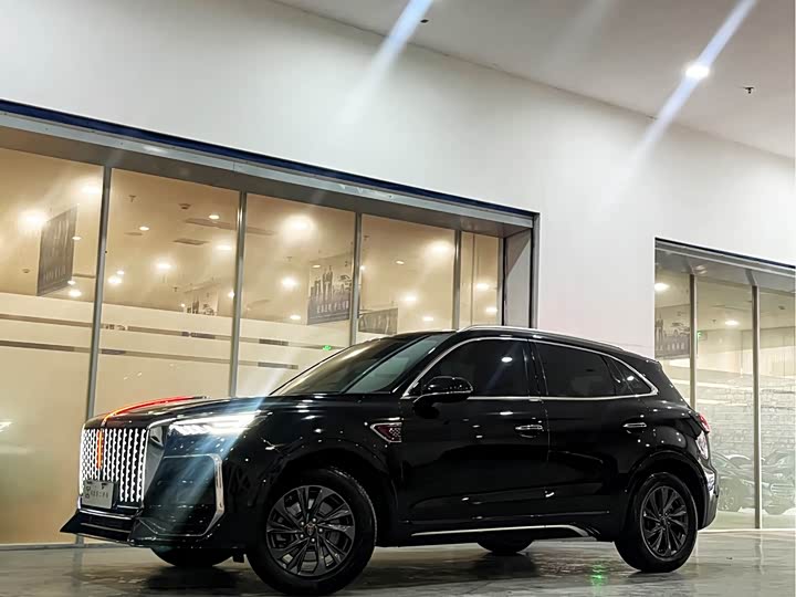 Фото 1 - Hongqi HS5