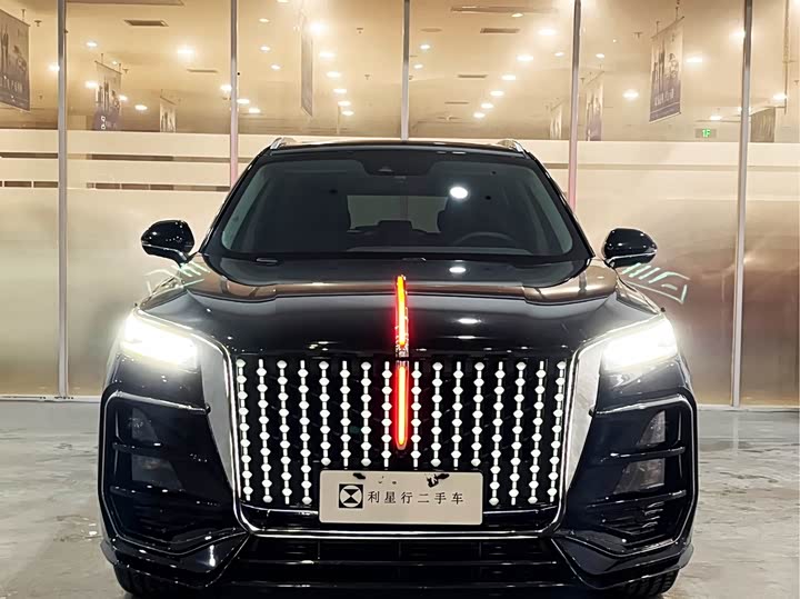 Фото 2 - Hongqi HS5
