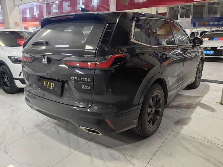 Фото 5 - Honda Breeze