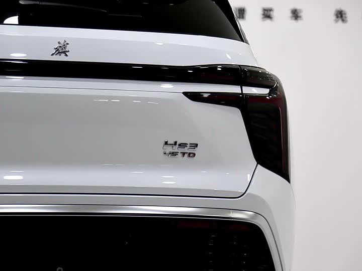 Фото 2 - Hongqi HS3