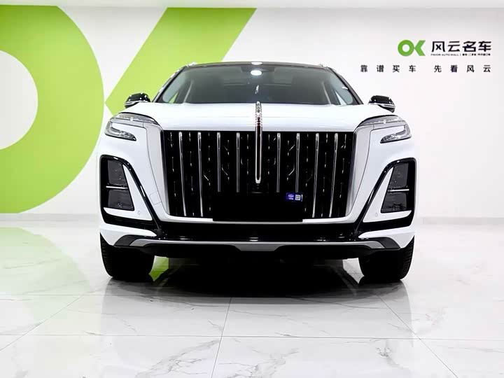 Фото 7 - Hongqi HS3