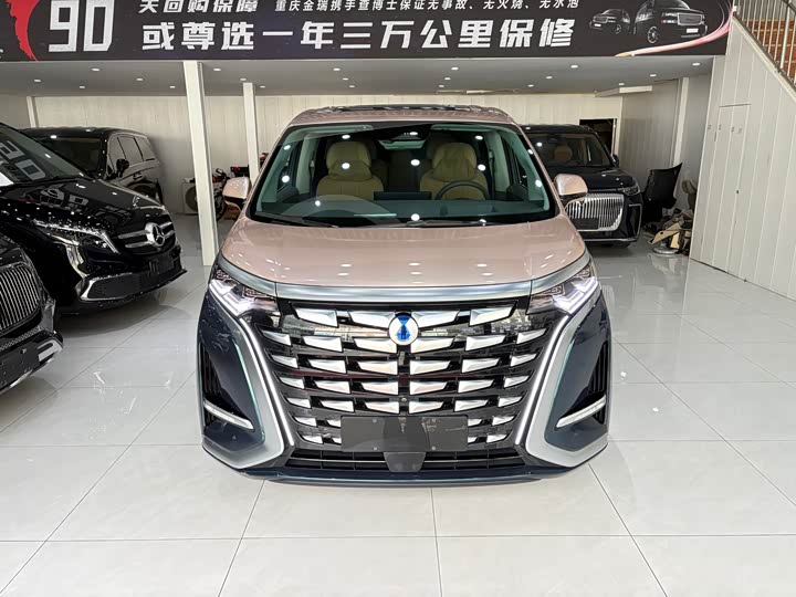 Фото 2 - Denza D9