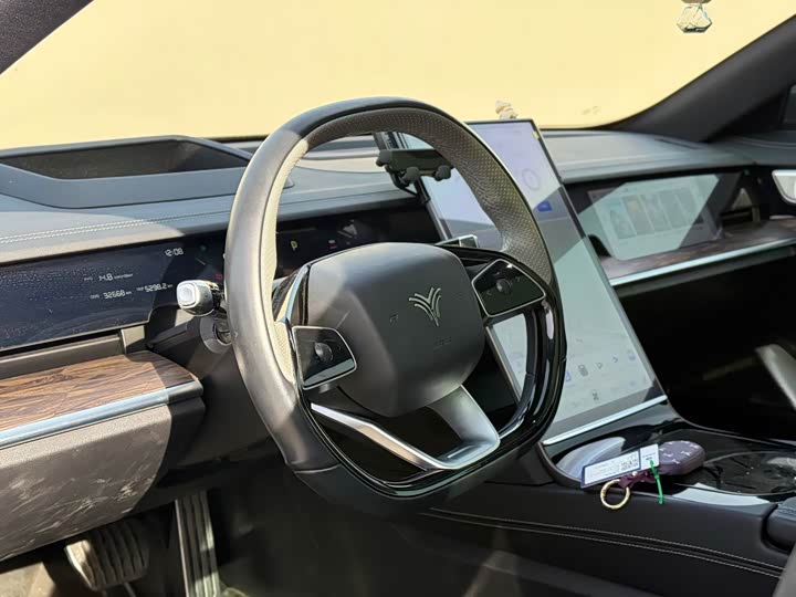 Фото 8 - Hozon S